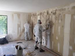 Best Basement Mold Removal  in Adamsville, AL